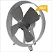 Kitchen & Housewares : Soleus Air FT1-20-10 8-Inch Soft-Blade Table Fan