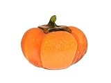 Glass Fruit & Vegetable Persimmon