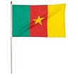 Cameroon Flag 12 x 18 inch
