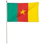 Cameroon Flag 12 x 18 inch