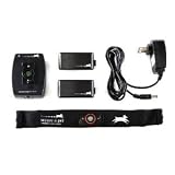 Secure a Pet GPS Dog and Pet Collar