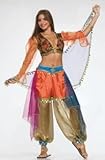 Harem Dancer Deluxe Adult Designer Costume Size 2-6 Small Harem Dancer Deluxe Adult Designer Costume Size 2-6 Small