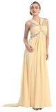 Party Dress New Designer Long Tail Back Gown #2626