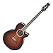 Takamine New PTU-108(GB) BS