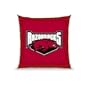 Biederlack NCAA Arkansas Floor Pillow