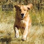 Golden Retrievers 2009 Wall Calendar