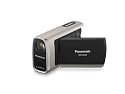 Panasonic SDR-SW20S - Camcorder - widescreen - 680 Kpix - optical zoom: 10 x - supported memory: MMC, SD, SDHC - flash card - silver