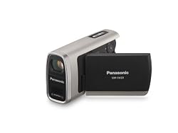 Panasonic SDR-SW20S - Camcorder - widescreen - 680 Kpix - optical zoom: 10 x - supported memory: MMC, SD, SDHC - flash card - silver
