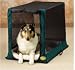 Pet Supplies : Pet Product 9482GB Soft-Side Dog Crate - Green XX Large