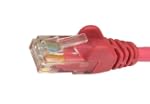 World of Data� 20m PINK Premium CAT5E...
