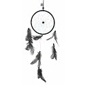 Spotted Feather Dream Catcher