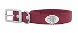 Zep-Pro Maroon Nylon Concho Pet Collar, Texas AandM Aggies, X-Large