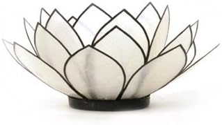 Natural Capiz Shell Lotus Tea Light Holder with Black Trim + Free Candle