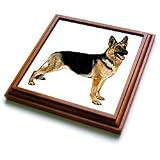 Dogs German Shepherd - German Shepherd - Trivets