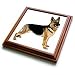 Dogs German Shepherd - German Shepherd - Trivets
