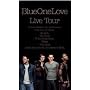 Blue - One Love - Live Tour [DVD] [2003]