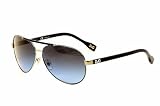 DG 6078 Gunmetal 10198F