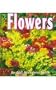 Flowers (Growing Flowers)