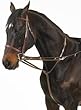 Camelot German Martingale Rein