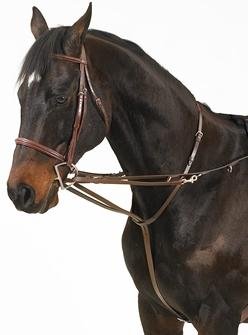 Camelot German Martingale Rein