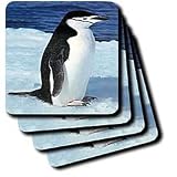 Birds - Penguin - Coasters