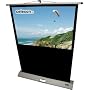 Celexon Leinwand Mobil Professional 160 x 120 cm