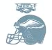 Philadelphia Eagles 5 x 5 Reusable Static Window Cling