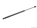 1991-2001 Ford Explorer Sachs Window Strut