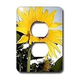 Flowers - Sunflower - Light Switch Covers - 2 plug outlet cover