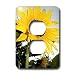 Flowers - Sunflower - Light Switch Covers - 2 plug outlet cover