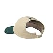Otto Caps - Brushed Cotton Twill Ponytail Low Profile Pro Style Caps