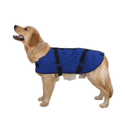 Casual Canine Polyester Ripstop Blanket Dog Coat, Large, 20-Inch, Red
