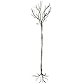 Garderobe als Deko - Baum