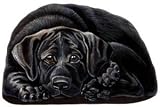 Black Labrador Retriever - Pupper Weights