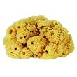Purdy Corp. 31925 Symphony Natural Sea Sponge
