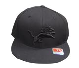 Detroit Lions Black on Black Mitchell & Ness Throwback Fitted Cap / Hat