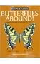 Butterflies Abound!