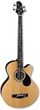 Samick AB2 – Natural 4-string Regency Acoustic Bass with Case