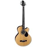 acoustic bass guitar Samick AB2 Natural 4 string Regency Acoustic Bass with Case acoustic bass guitar