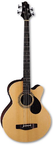 Samick AB2 - Natural 4-string Regency Acoustic Bass with Case On Sale