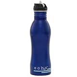 EcoUsable Ech2o 25 oz Stainless Steel Filtered Bottle - Metallic Blue