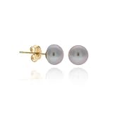 14K Gold Genuine Freshwater Cultured Gray 6-6.5mm Button Pearl Stud Earrings