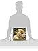 Chow Chow Calendar - Only Dog Breed Chow Chow Calendar - 2016 Wall calendars - Dog Calendars - Monthly Wall Calendar by Avonside