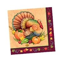 Thanksgiving Party Bountiful Turkey Beverage Napkins (20)