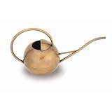 Achla Designs WC-01 Brass Watering Can, Small
