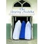 The Sleeping Buddha: The Story of Afghanistan Through the Eyes of One Family