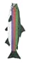 River's Edge Deluxe Rainbow Trout Windsock