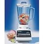 220 Volt (NOT USA COMPLIANT) Oster Blender 10 Speed Glass