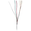 22-GAUGE 4-CONDUCTOR with Coil Pack
