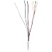 22-GAUGE 4-CONDUCTOR with Coil Pack
